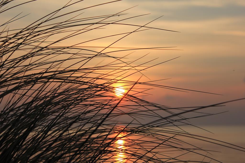 Appartmentanlage Zur Duene Insel Poel Rum bild