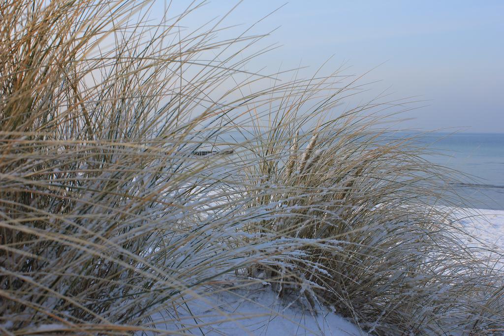 Appartmentanlage Zur Duene Insel Poel Rum bild